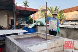 Xã Nga Bạch phát triển nghề khai thác, chế biến hải sản
