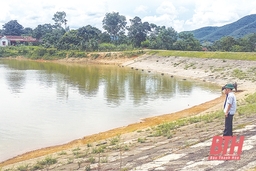 Huyện Thường Xuân đảm bảo nguồn nước tưới cho sản xuất vụ mùa