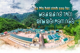 [E-Magazine] - Sa Ná hồi sinh sau lũ: Hoa đã nở trên đỉnh đồi Pom Ngồ