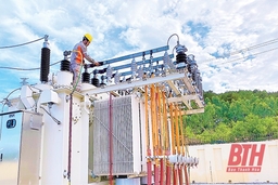 Đầu tư phát triển hạ tầng ngành điện