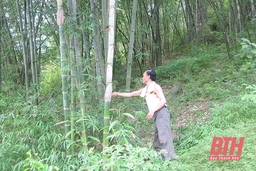 Đầu tư tín dụng phát triển nông nghiệp, nông thôn tại huyện Quan Sơn