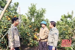 Huyện Như Xuân đẩy mạnh các giải pháp phát triển kinh tế - xã hội