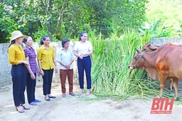 Phụ nữ Thanh Hóa sáng mãi truyền thống phụ nữ “Ba đảm đang”