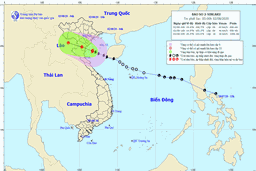 Tin bão khẩn cấp - Cơn bão số 2