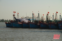 Toàn tỉnh Thanh Hoá còn 172 tàu cá hoạt động trên biển