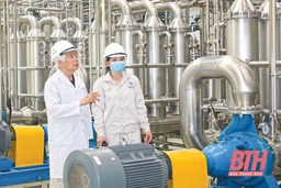 “Đánh thức” vùng đồi Lam Sơn