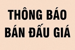 Thông báo đấu giá tài sản