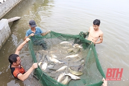 Huyện Hà Trung - dấu ấn một nhiệm kỳ