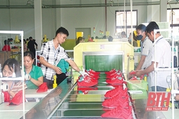 Huyện Nông Cống thu hút đầu tư phát triển