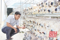 Huyện Như Thanh phát triển các sản phẩm OCOP