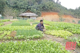 Phụ nữ huyện Quan Sơn tích cực tham gia các phong trào thi đua yêu nước