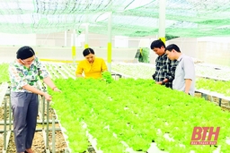 Đẩy mạnh phát triển hệ thống phân phối thực phẩm an toàn