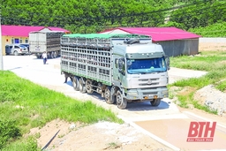 Chính sách hỗ trợ - động lực phát triển nông nghiệp