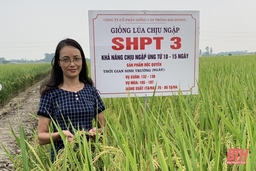 Nữ Giám đốc Trung tâm Dịch vụ Nông nghiệp huyện Yên Định:  Nhiệt huyết với nghề