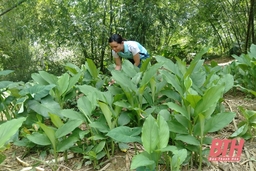 Lan tỏa phong trào thi đua “Dân vận khéo” ở Lang Chánh