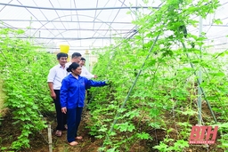 MTTQ với cuộc vận động “Toàn dân đoàn kết xây dựng nông thôn mới, đô thị văn minh”