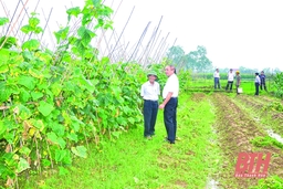 Tăng cường phát triển công nghiệp chế biến nông lâm thủy sản và cơ giới hóa sản xuất nông nghiệp