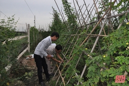 Hội Nông dân tỉnh với chương trình ứng dụng khoa học - kỹ thuật trong sản xuất