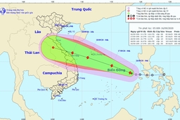 Công điện khẩn của Chủ tịch UBND tỉnh Thanh Hóa về việc chủ động ứng phó với cơn bão số 5