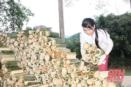 Xã Trung Tiến đẩy mạnh phát triển kinh tế