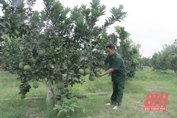 Hiệu quả mô hình kinh tế hộ