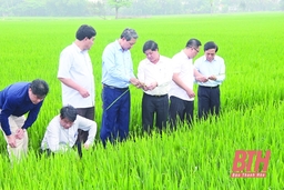 Để nông nghiệp bắt kịp xu hướng hiện đại - Bài cuối: Để ngành nông nghiệp tỉnh nhà phát triển bền vững