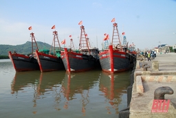 Thanh Hóa công bố mở cửa 3 cảng cá