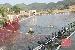Đảng bộ xã Hòa Lộc nâng cao chất lượng sinh hoạt chi bộ