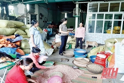 Hội LHPN huyện Hà Trung: Gắn phong trào thi đua yêu nước với nâng cao đời sống hội viên
