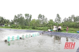 Hộ nghèo, cận nghèo huyện Hậu Lộc vươn lên phát triển sản xuất