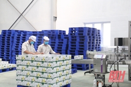 Phát huy hiệu quả phong trào thi đua yêu nước