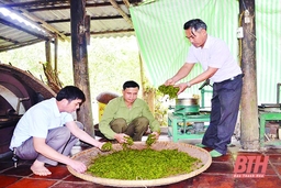 Hiệu quả từ các phong trào thi đua yêu nước ở huyện Triệu Sơn