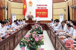 Thanh Hóa tập trung thực hiện các giải pháp, phấn đấu hoàn thành kế hoạch năm 2020