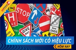 Đừng để quy định chỉ hay... trên giấy