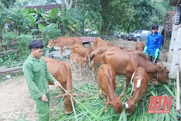 Tín dụng chính sách góp phần giảm nghèo ở huyện Bá Thước