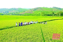 Ứng dụng khoa học - công nghệ phục vụ phát triển kinh tế - xã hội khu vực miền núi