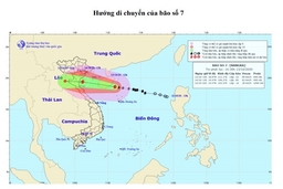 Tin bão khẩn cấp – Cơn bão số 7