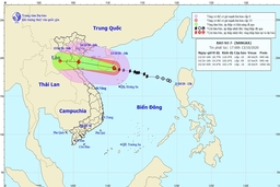Bão số 7 đổ bộ Thanh Hóa - Nghệ An chiều 14-10