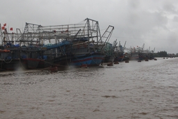 100% tàu, thuyền của Thanh Hóa khai thác trên biển đã và đang vào nơi tránh trú bão
