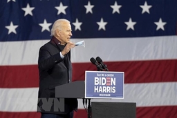 Bầu cử Mỹ: Chiến dịch kỹ thuật số ủng hộ ứng viên Biden tại Florida