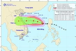 Bão số 8 tăng cấp, cách quần đảo Hoàng Sa hơn 400 km về phía Đông