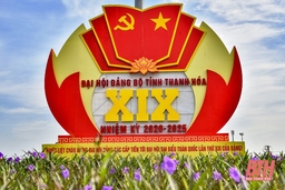 Thanh Hóa trước ngày hội lớn