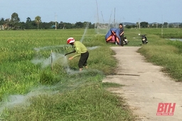 Ngăn chặn tình trạng săn bắt chim hoang dã