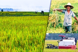 Thanh Hóa ban hành Kế hoạch sản xuất ngành trồng trọt năm 2021