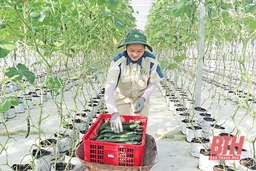 Để ngành nông nghiệp phát triển an toàn