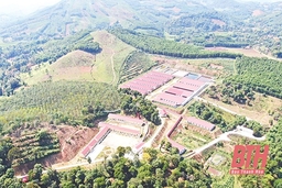 Tín hiệu tích cực từ thu hút đầu tư phát triển chăn nuôi