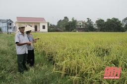 Đảng bộ xã Thiệu Giao lãnh đạo phát triển kinh tế, nâng cao đời sống