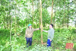 Các dự án nông thôn miền núi giúp đồng bào vùng cao thoát nghèo