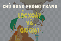 Chủ động phòng tránh lốc xoáy và gió giật