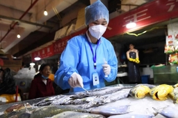 Trung Quốc có thêm 2 ca mắc mới nghi từ thực phẩm đông lạnh nhập khẩu